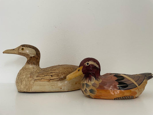 Decoy ducks