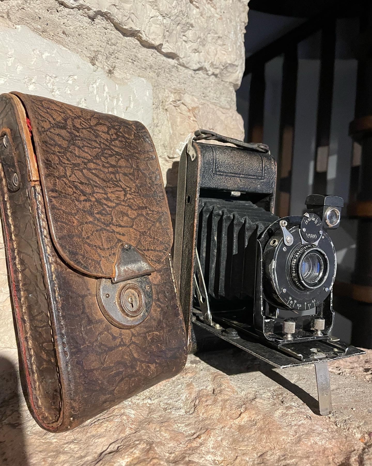 Antique bellows camera