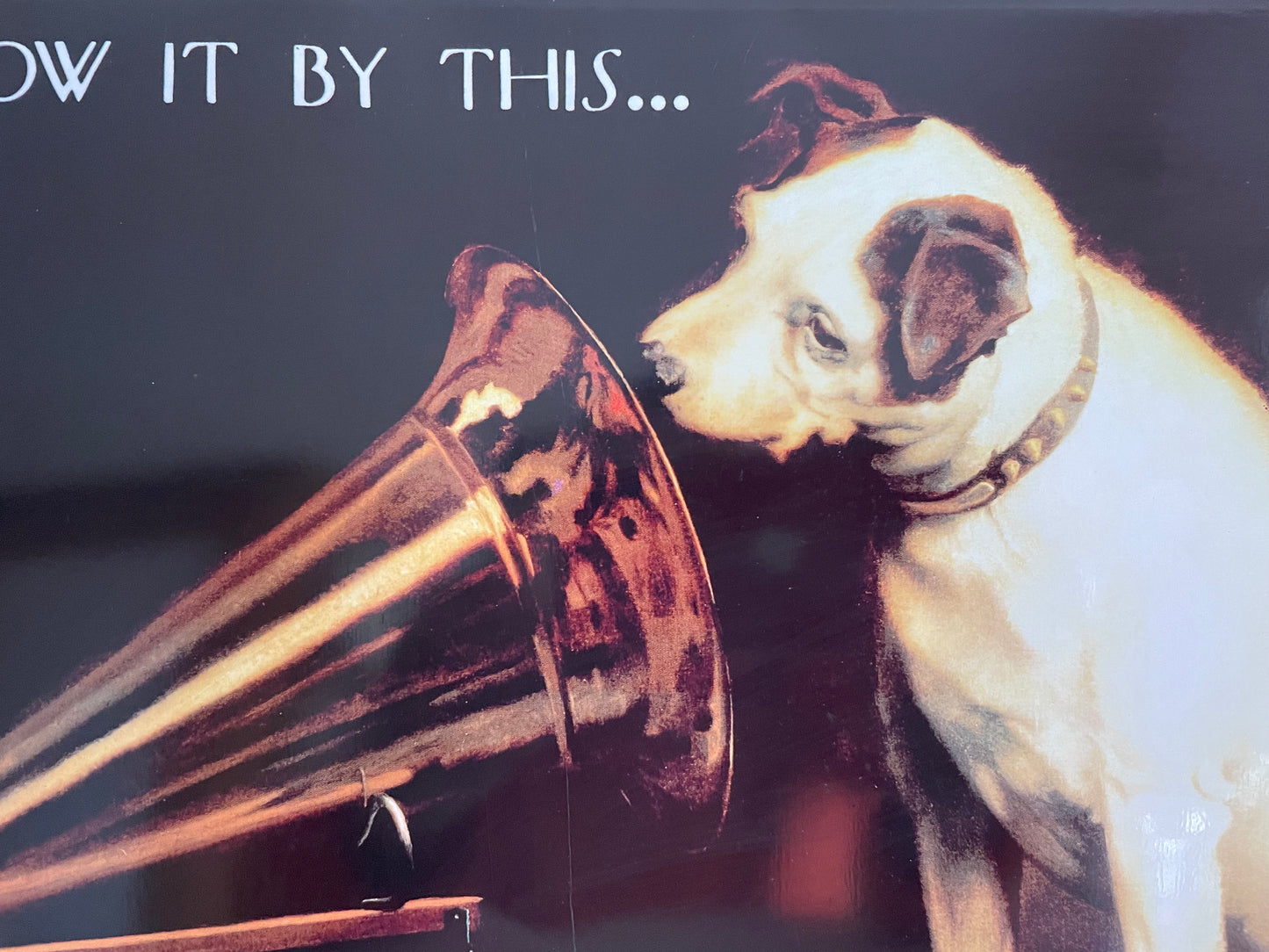 Teaches The Master's Voice