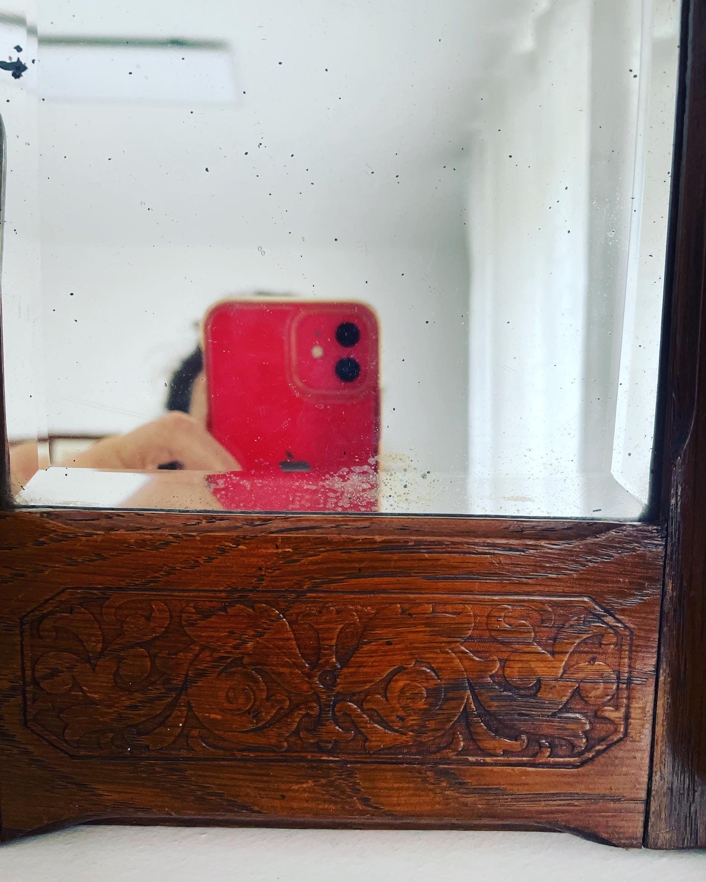 Mirror with brushes