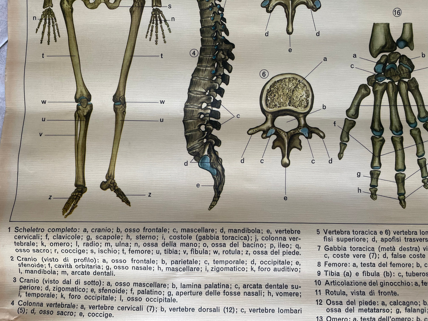 School medical table