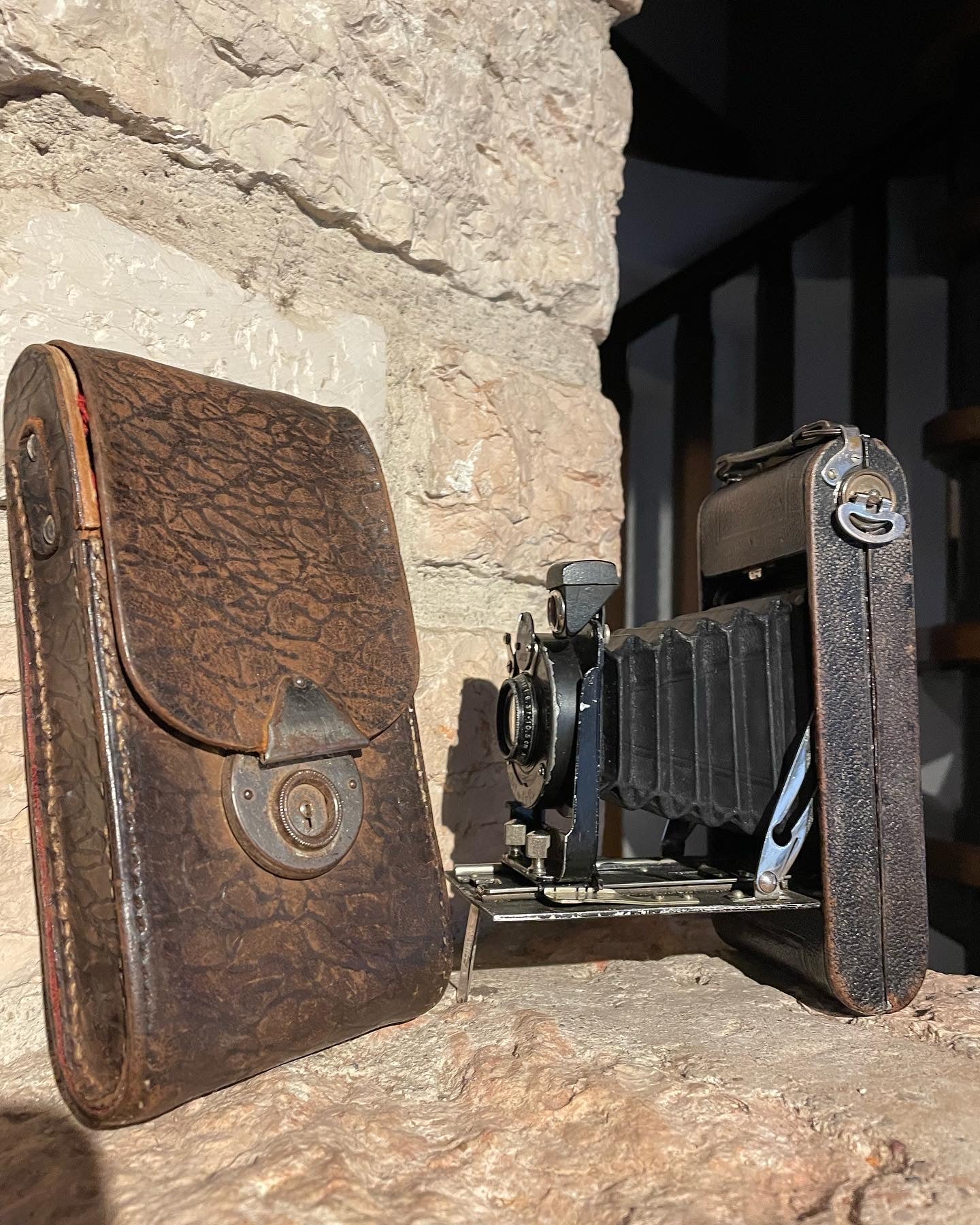 Antique bellows camera