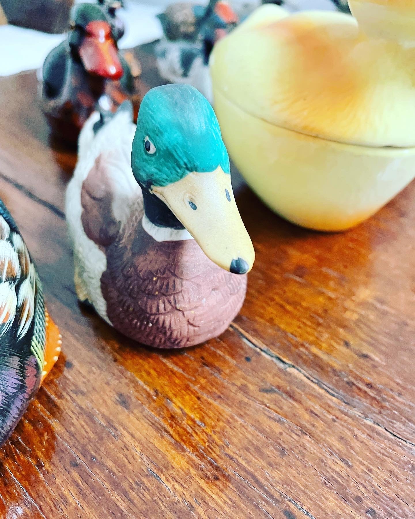 Duck collection