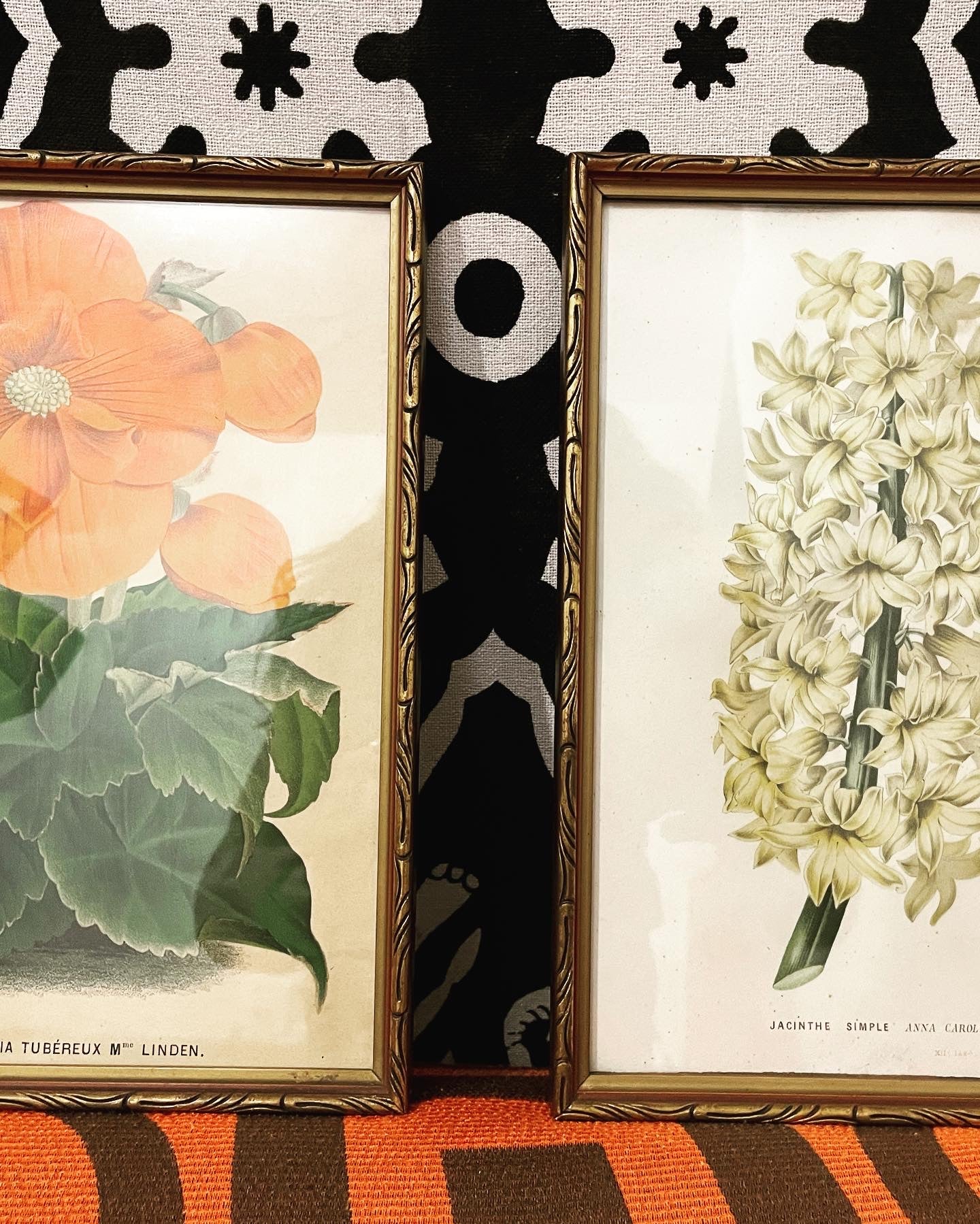 Botanical Prints Pair