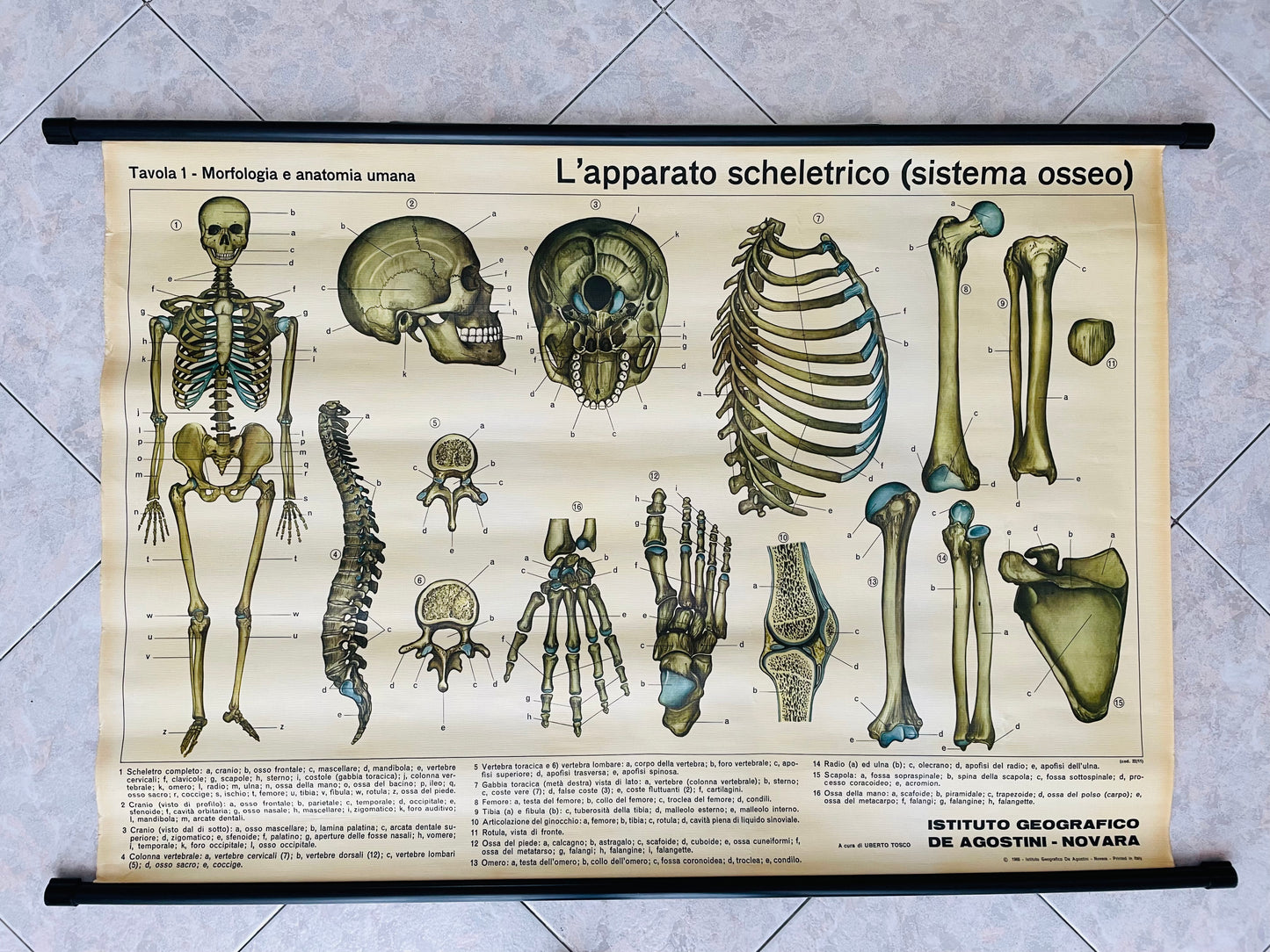 School medical table