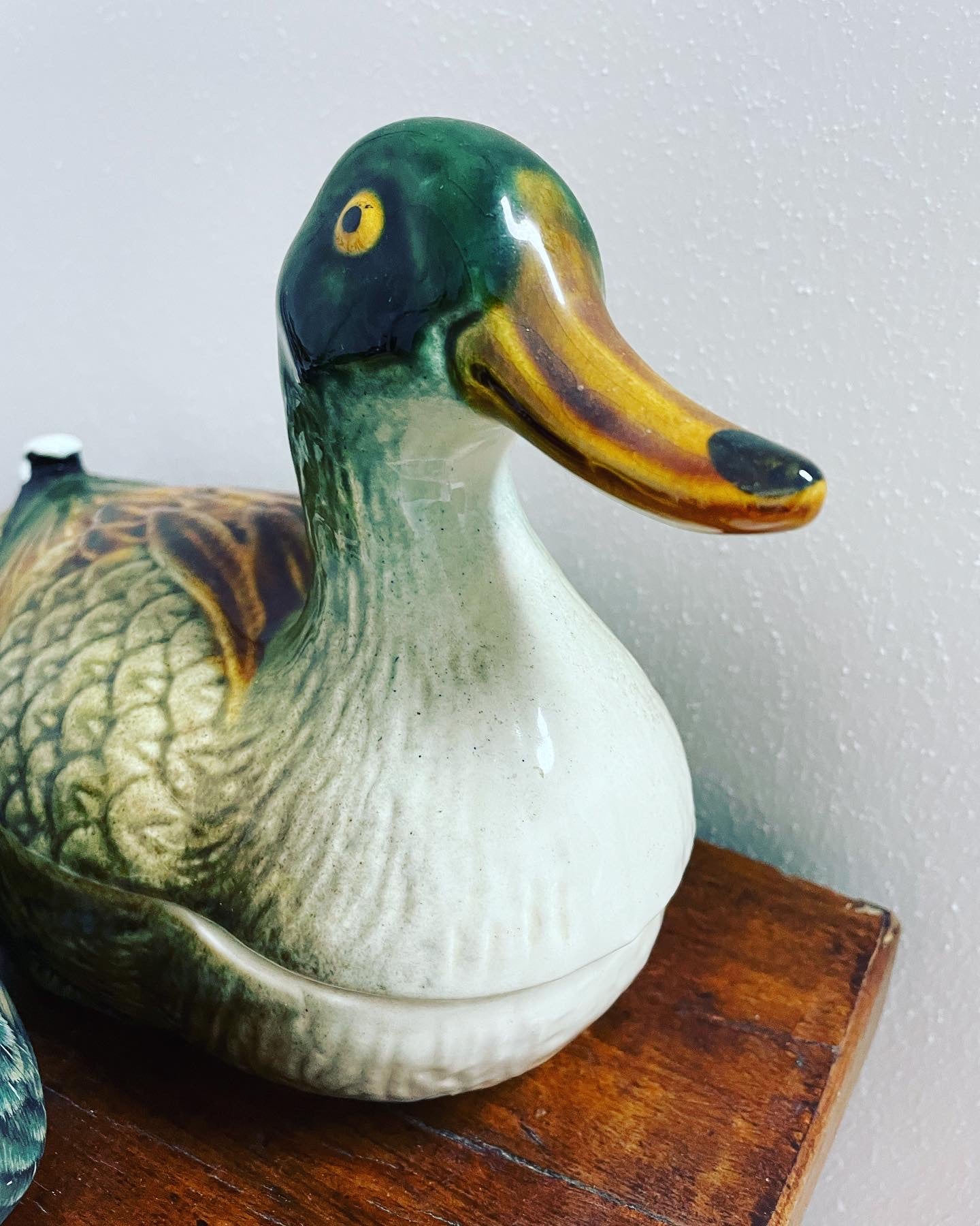 Duck collection