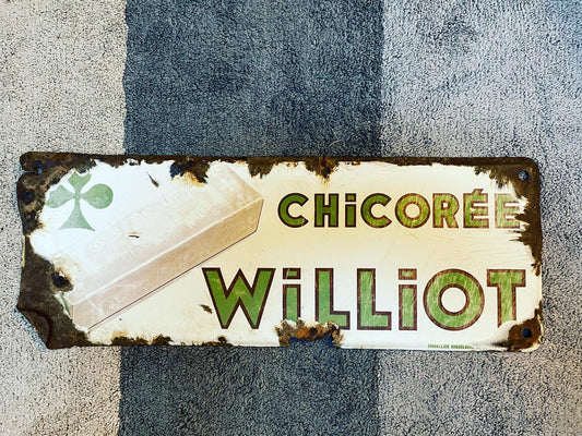 Chicory Williot