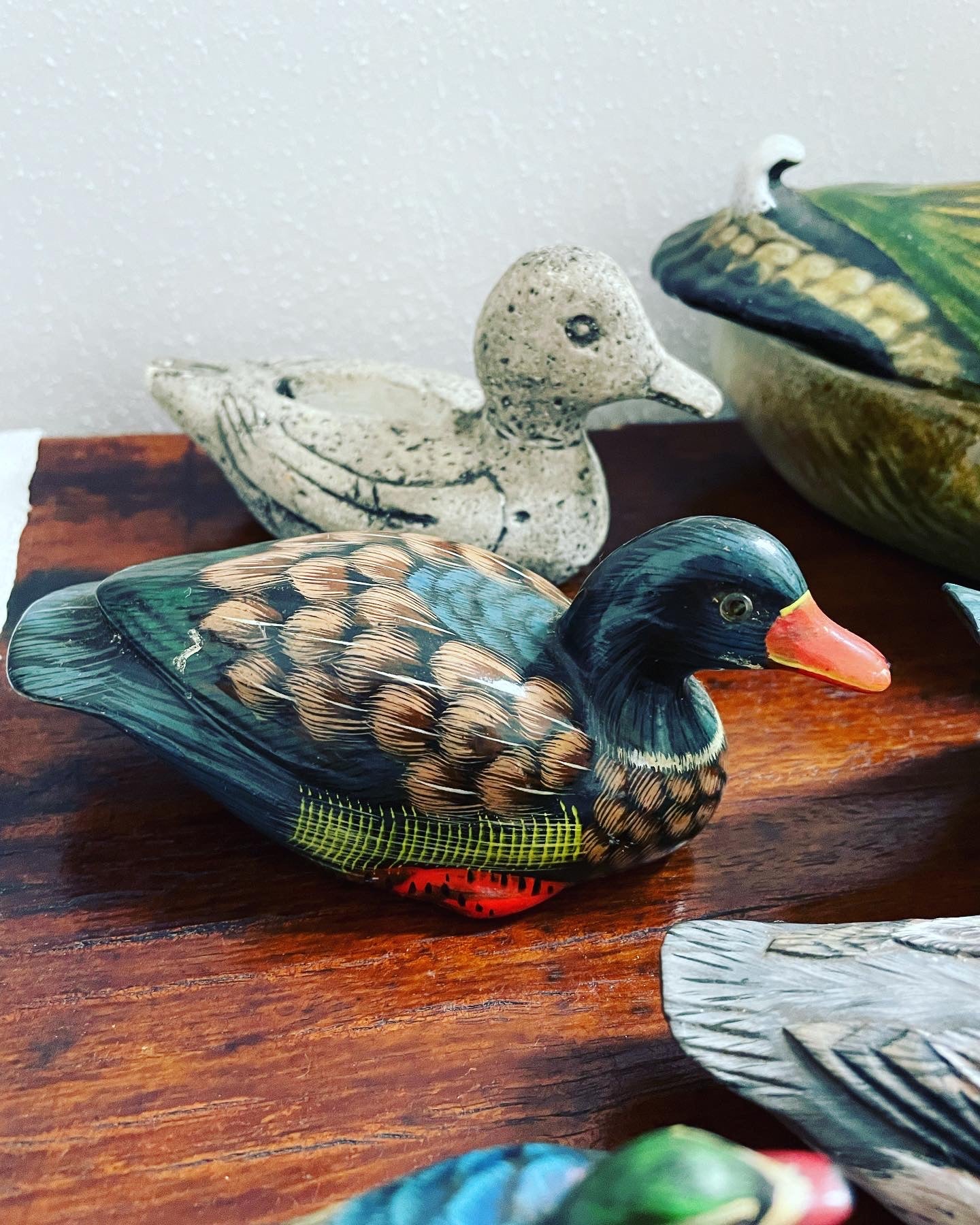 Duck collection