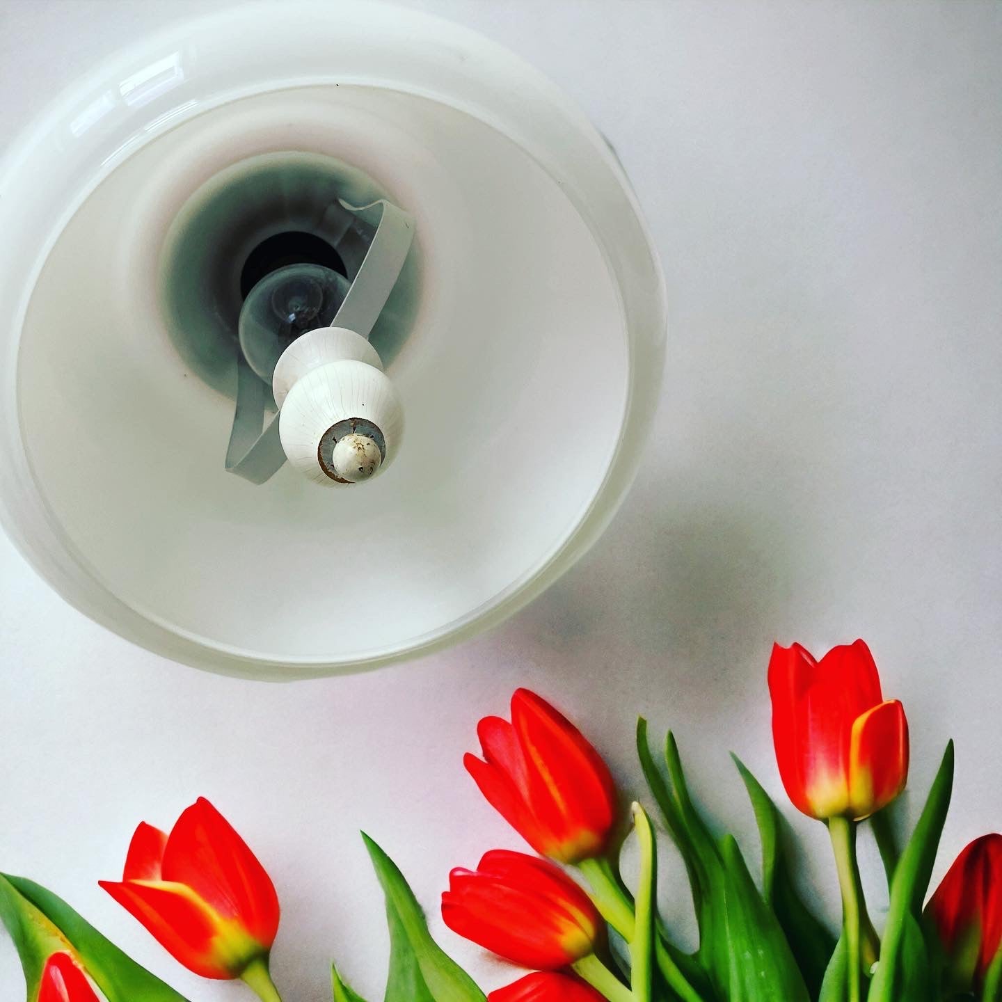 White and red lamp