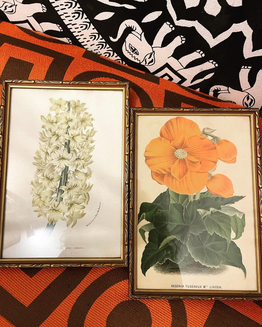 Botanical Prints Pair