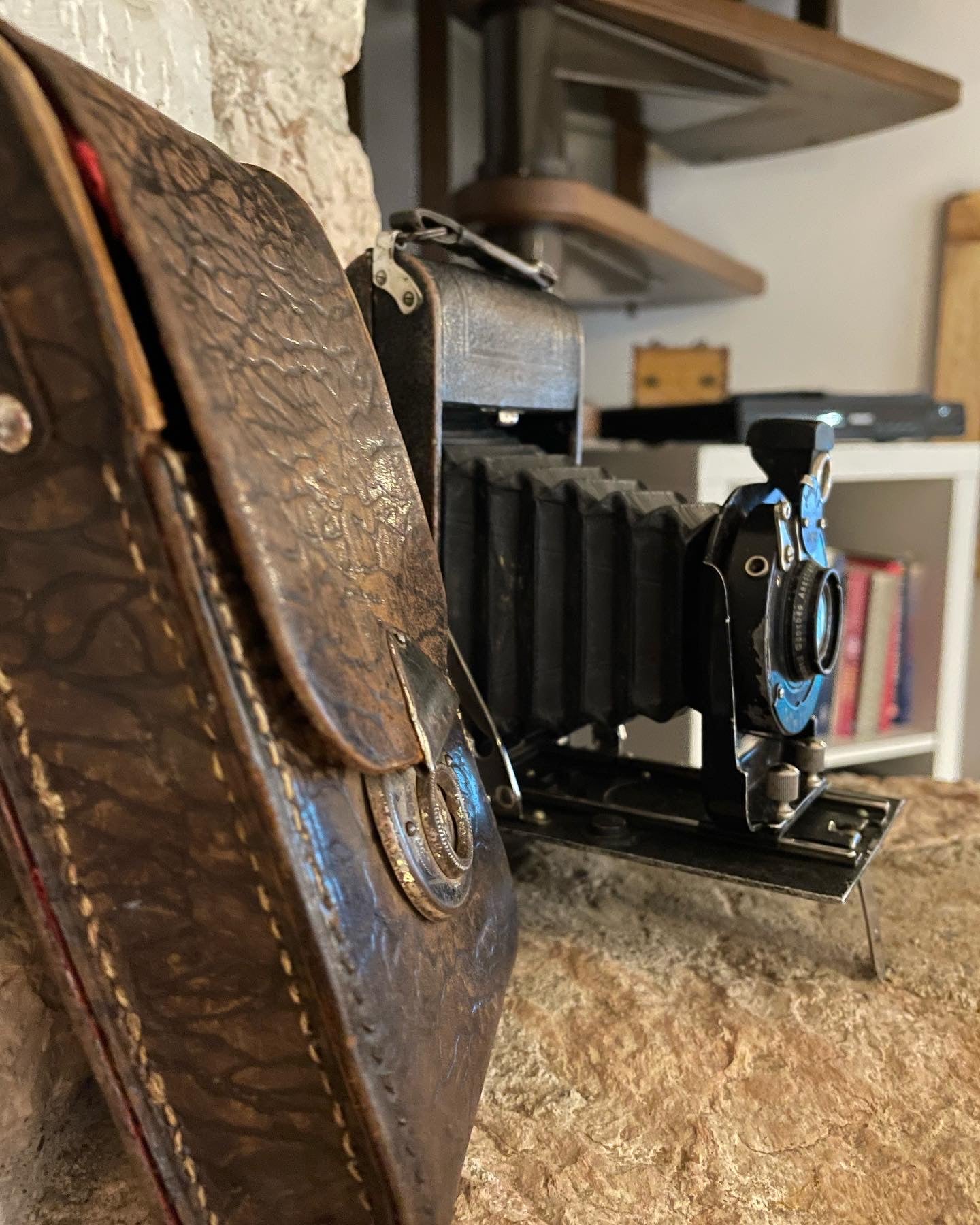 Antique bellows camera