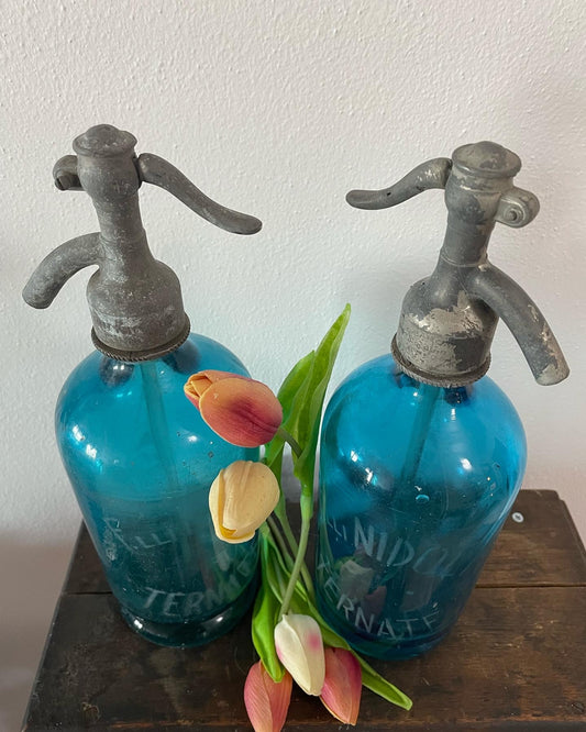 Antique seltzer siphons