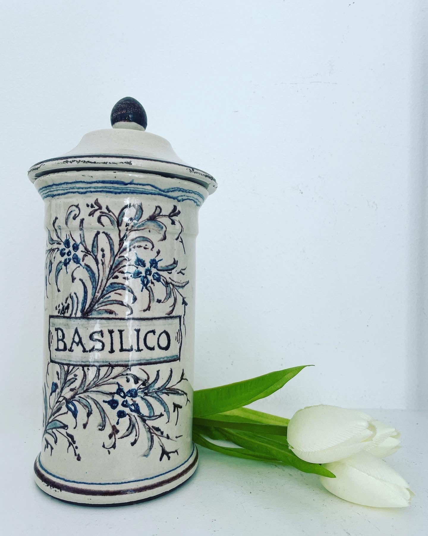 Albarello basil